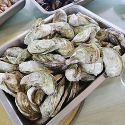 超碰在线人客服中心